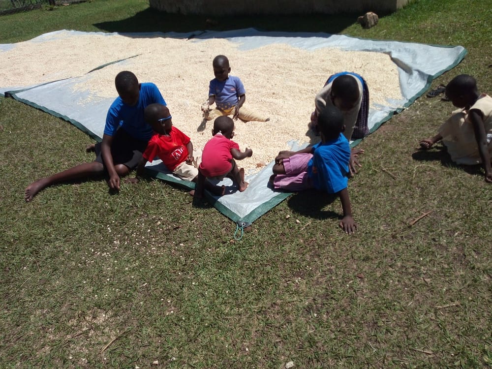 amukura_children_drying_maize
