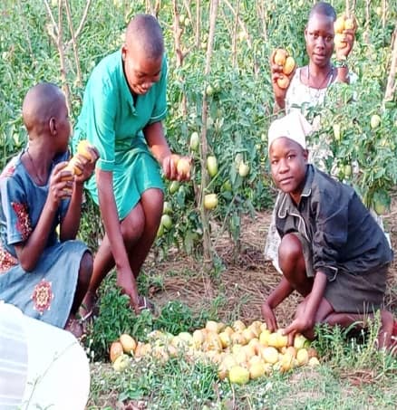 agricultural_activities_02