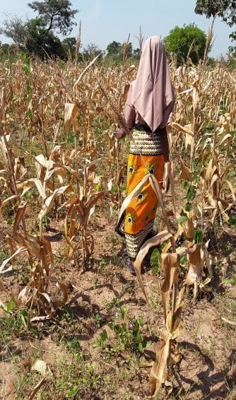agricultural_activities_04